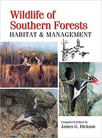 Wildlife of Southern Forests