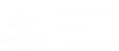 AFF-logo-white