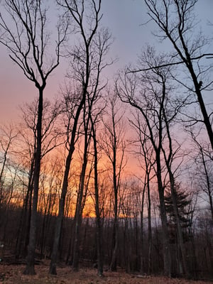 Photo of the sun setting over trees on Jon's property