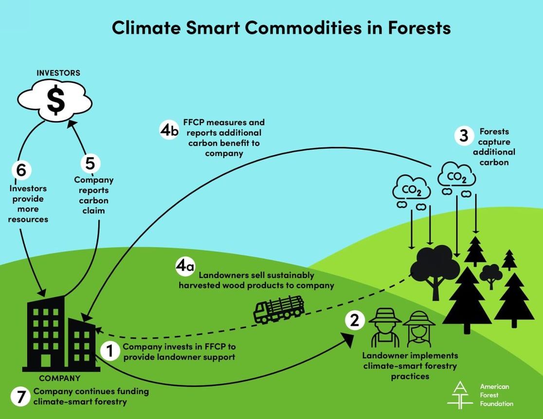 FFCP-CSC-Infographic-v5