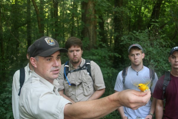 USFWS Biologist releasing Prothnotary warbler with students looking on