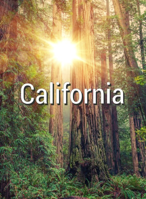 california woodscamp partnered with CAL FIRE providing funding for forest fire. Brought to you by american forest foundation and my sierra woods