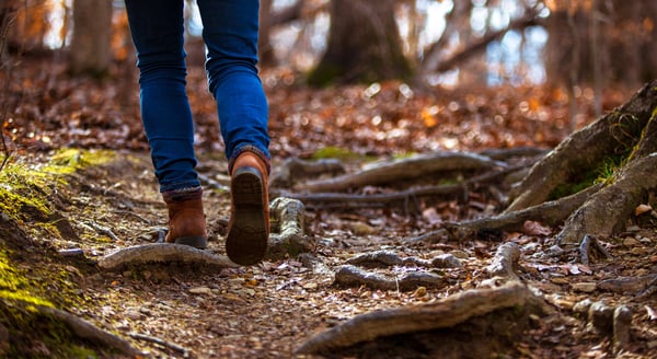 Image of the legs of a female walking away from the camera over tree roots, moss and leaves in a wooded area.