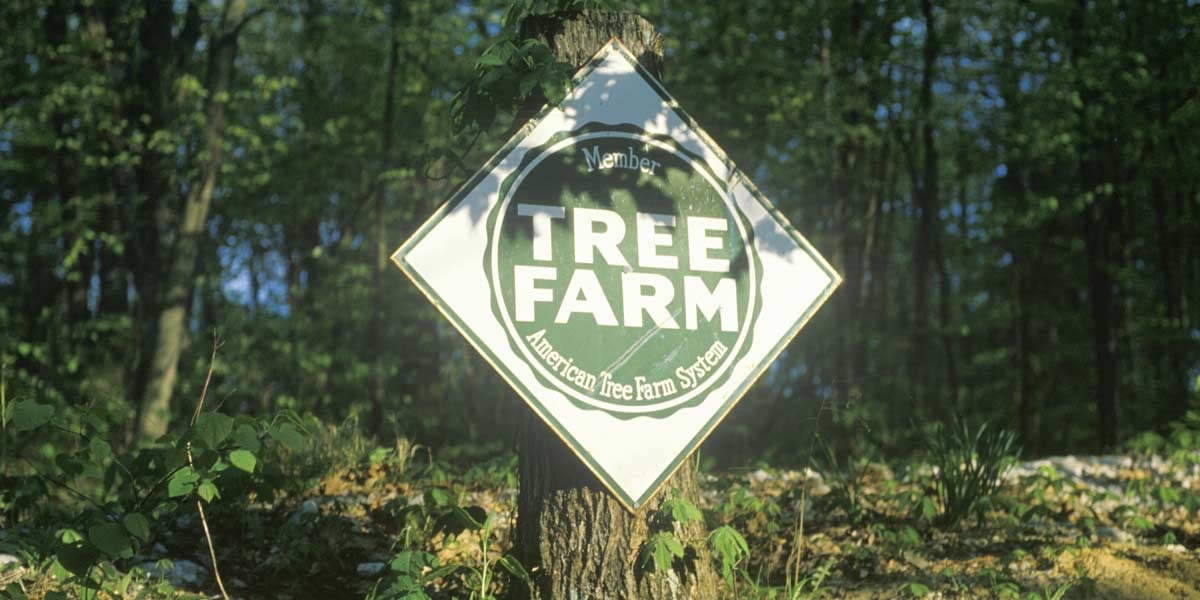 tree-farm-sign